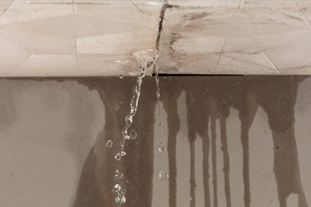Professional Burst Pipe Cleanup technician working in Hampton, TN